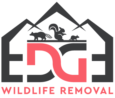 Edge Wildlife Removal Logo Colored