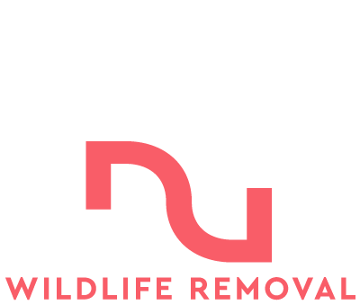 Edge Wildlife Removal Logo